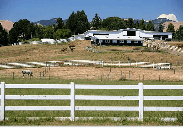 horse-bars A fenced in area with horses grazing on the grass.